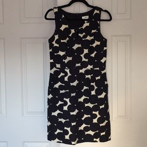 ANN TAYLOR LOFT Navy Polka Dotted A-Line Dress